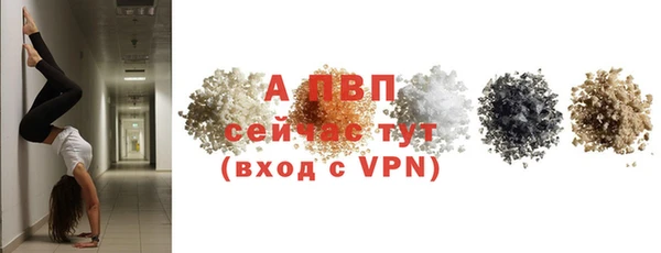круглые Абаза