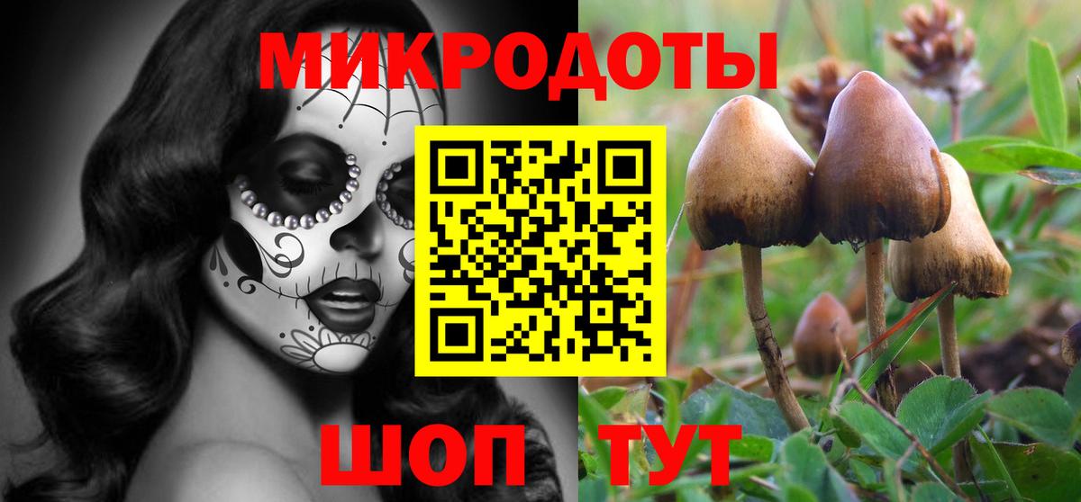 Псилоцибиновые грибы Psilocybine cubensis  Галлюциногенные грибы MAGIC MUSHROOMS  Дербент  Вход с VPN 