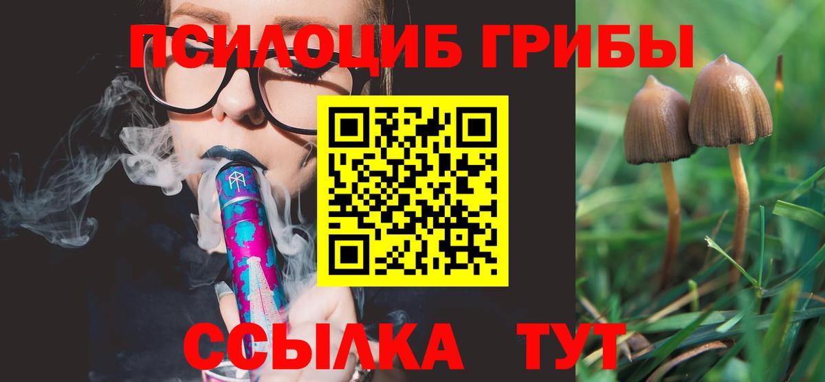 Галлюциногенные грибы мицелий Дербент